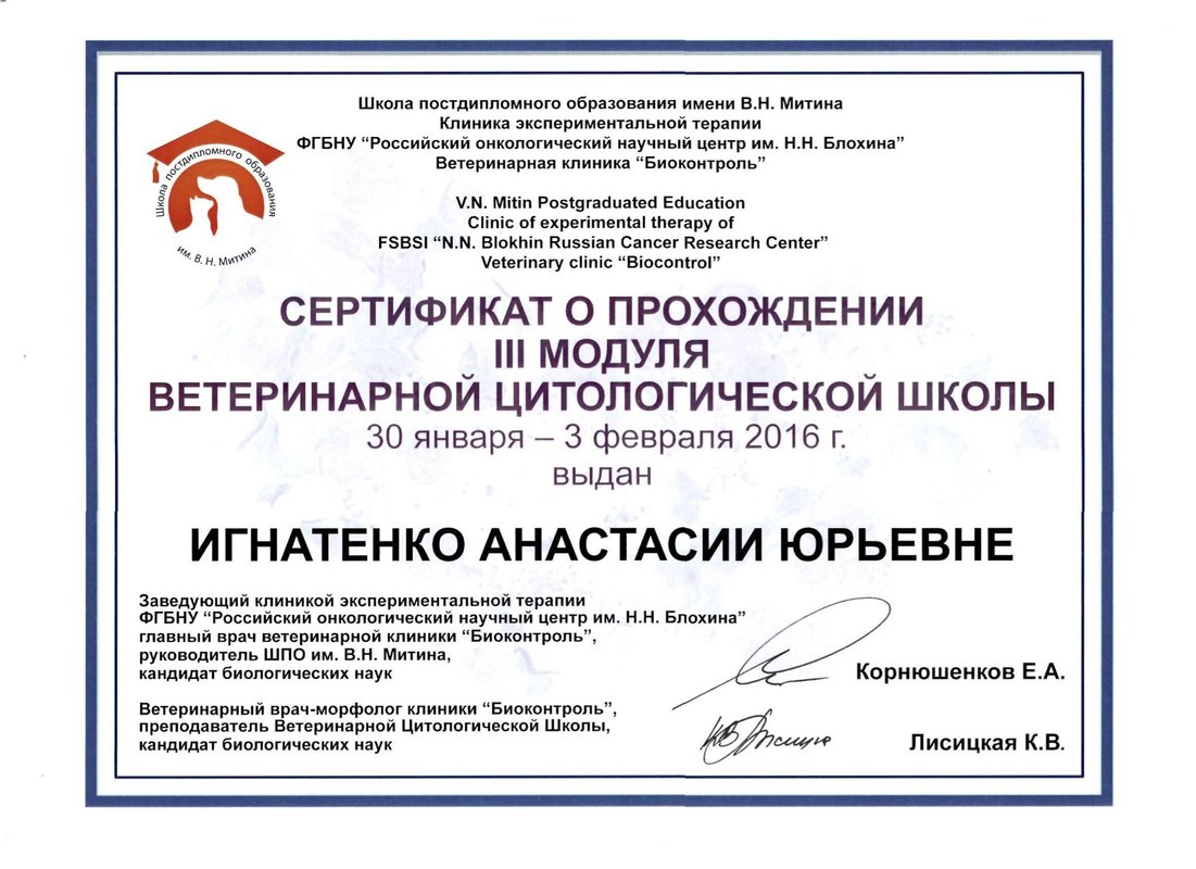 Документ или сертификат