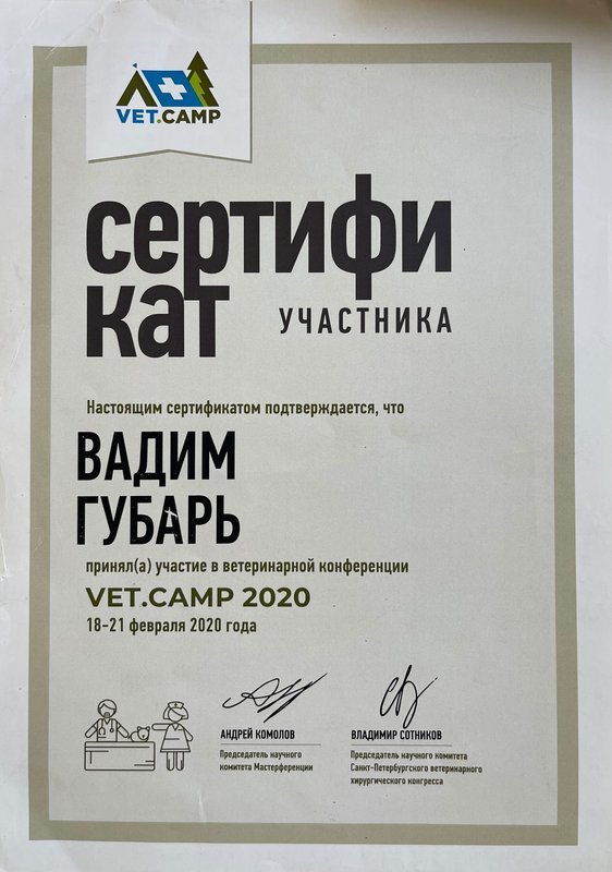 Документ или сертификат