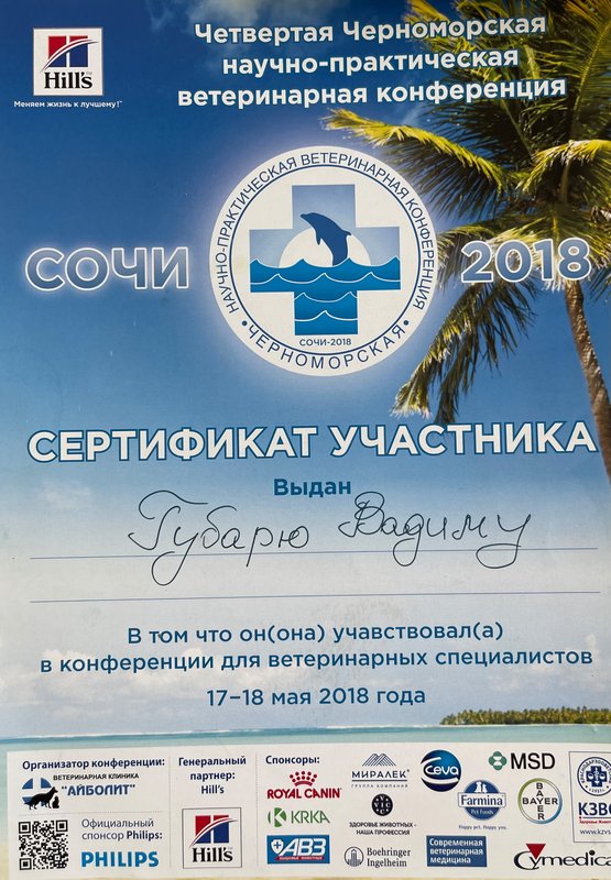 Документ или сертификат