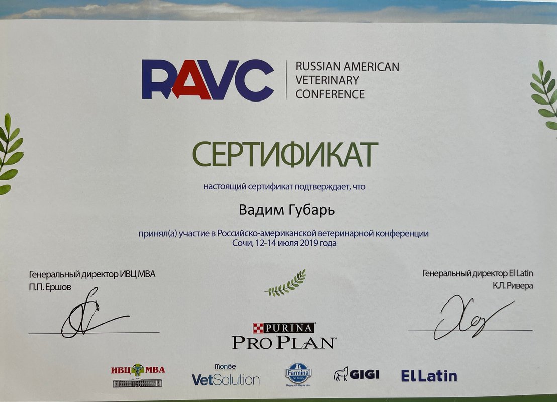 Документ или сертификат