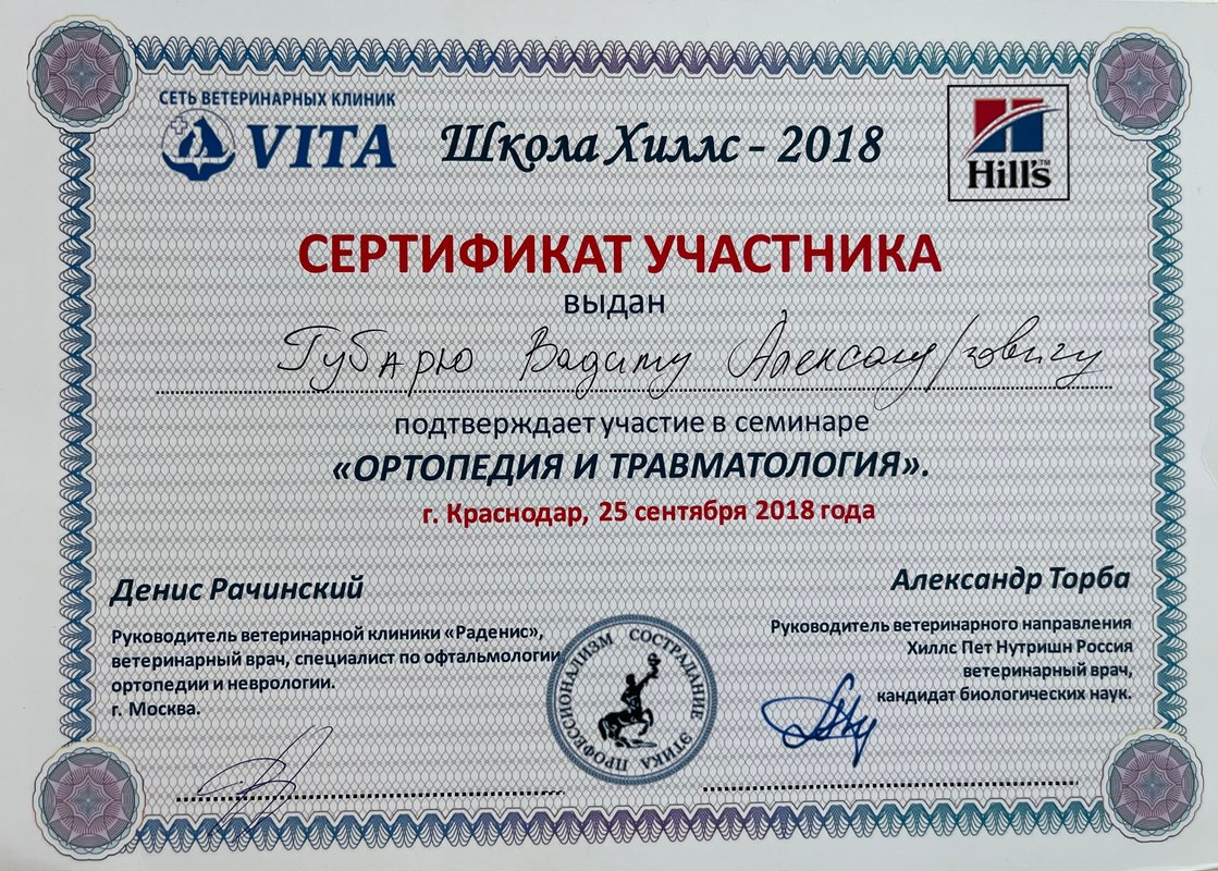 Документ или сертификат