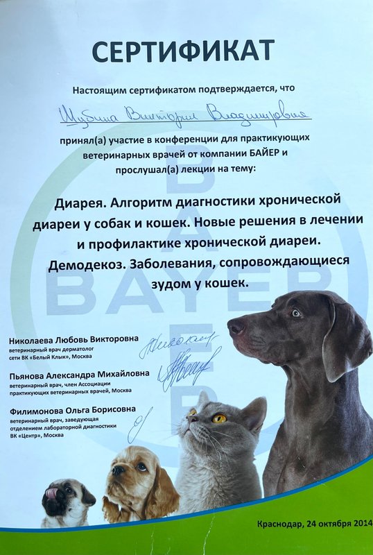 Документ или сертификат