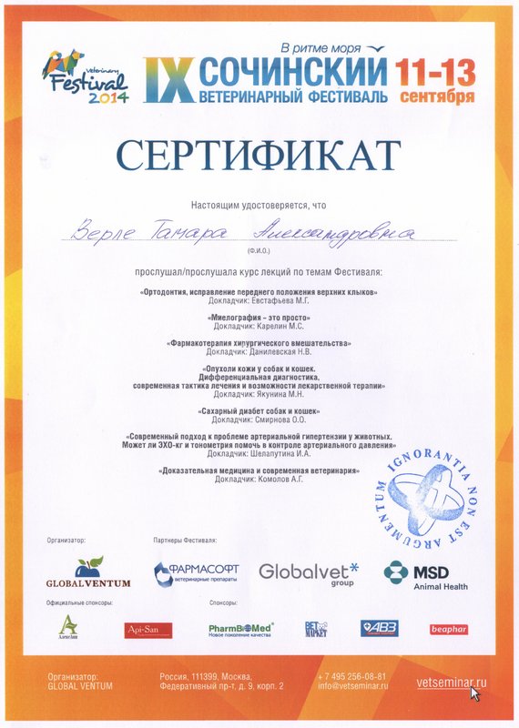 Документ или сертификат