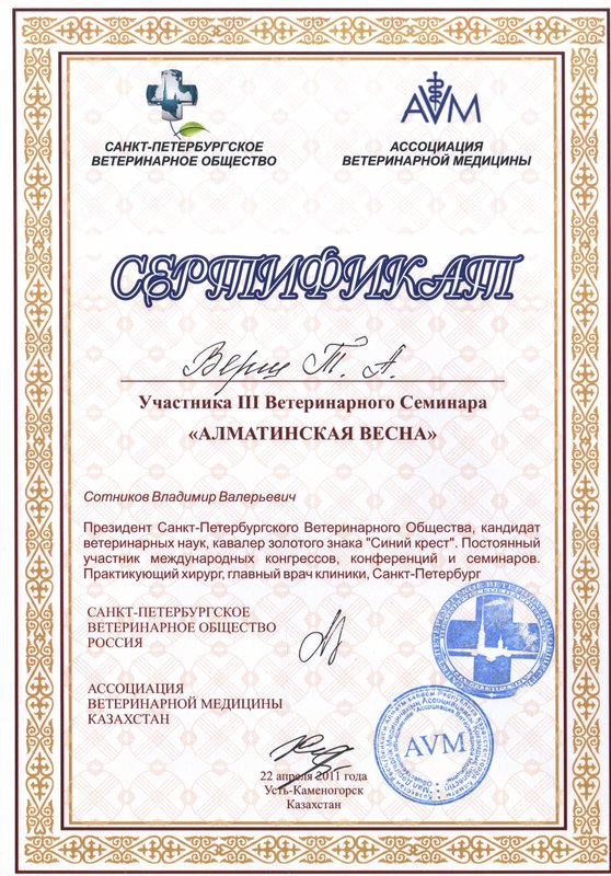 Документ или сертификат