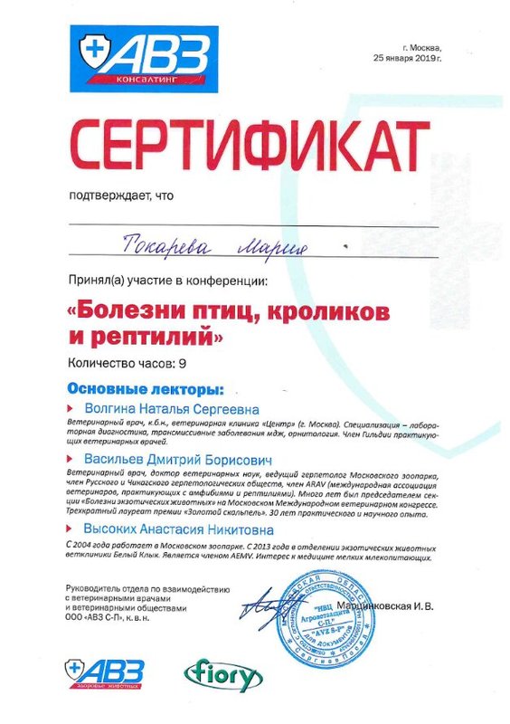 Документ или сертификат
