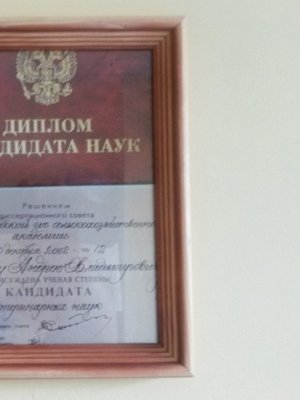 Фото врача Логанов Андрей Владимирович