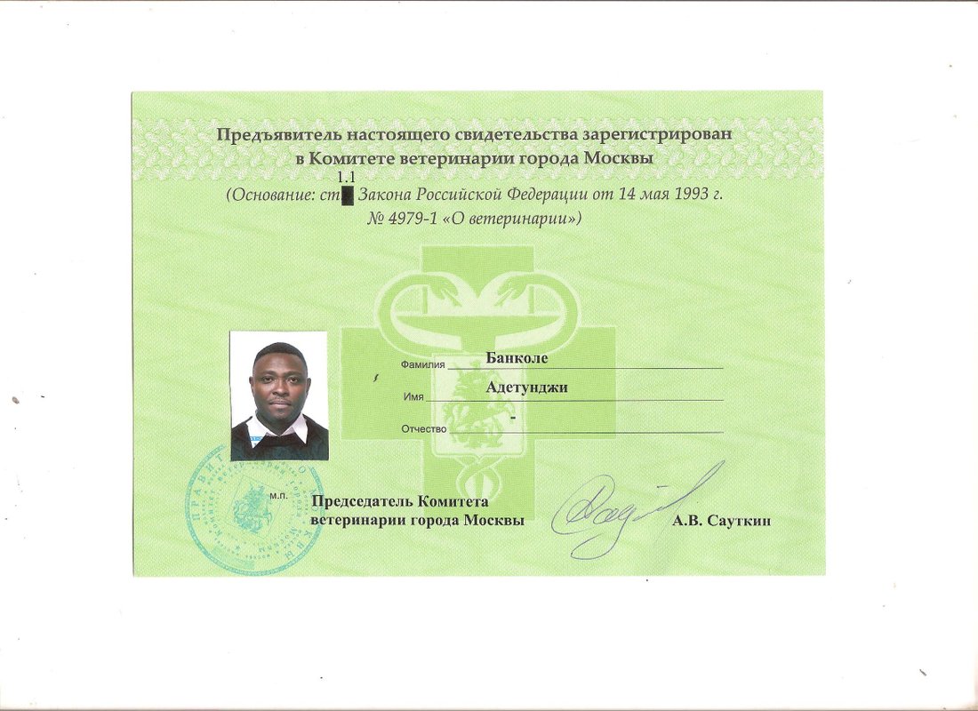 Документ или сертификат
