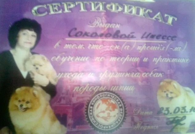 Документ или сертификат