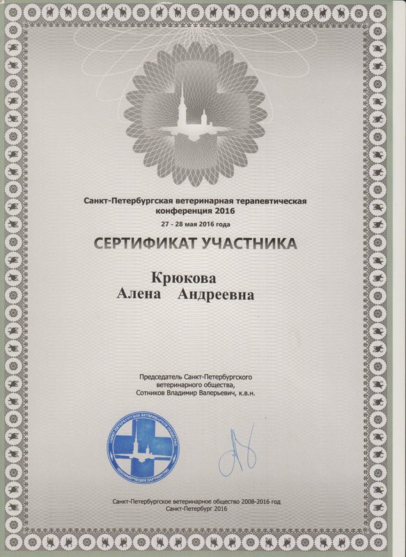 Документ или сертификат