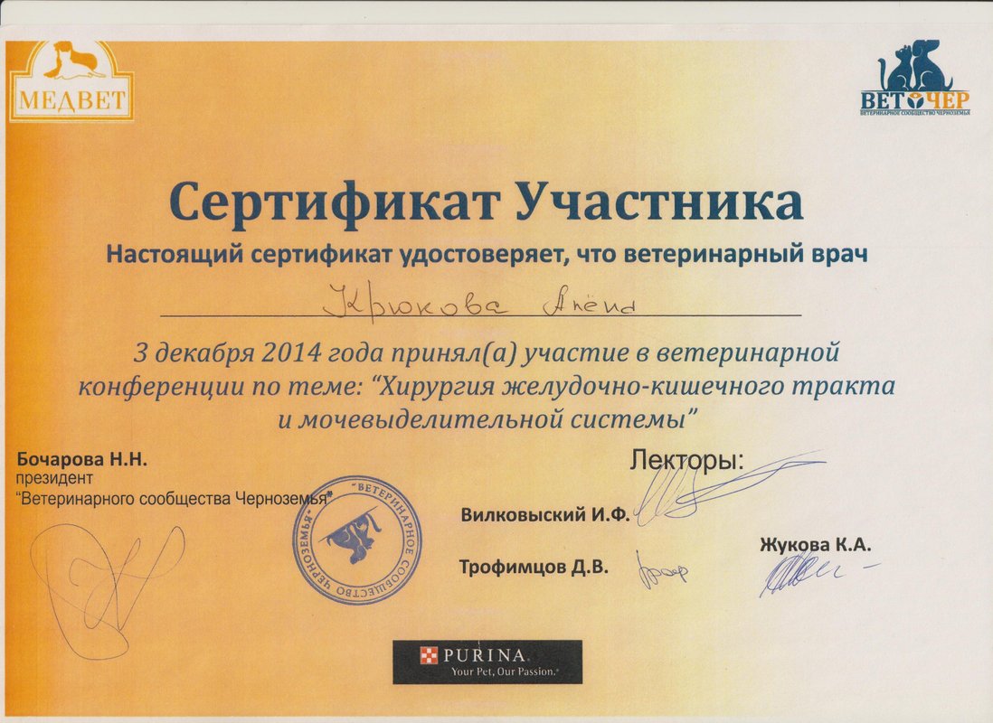 Документ или сертификат