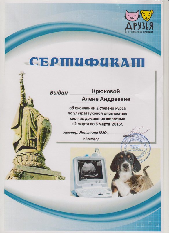 Документ или сертификат