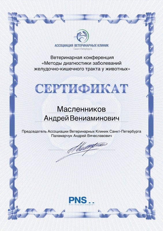 Документ или сертификат