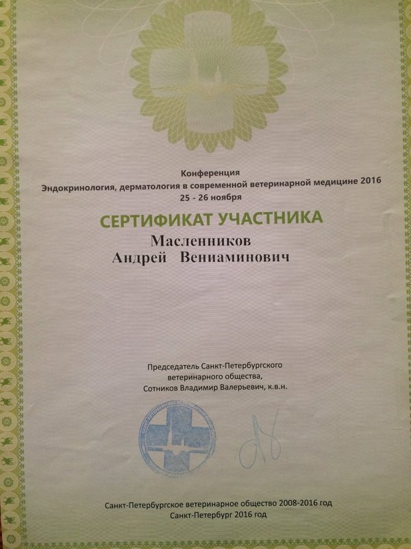 Документ или сертификат