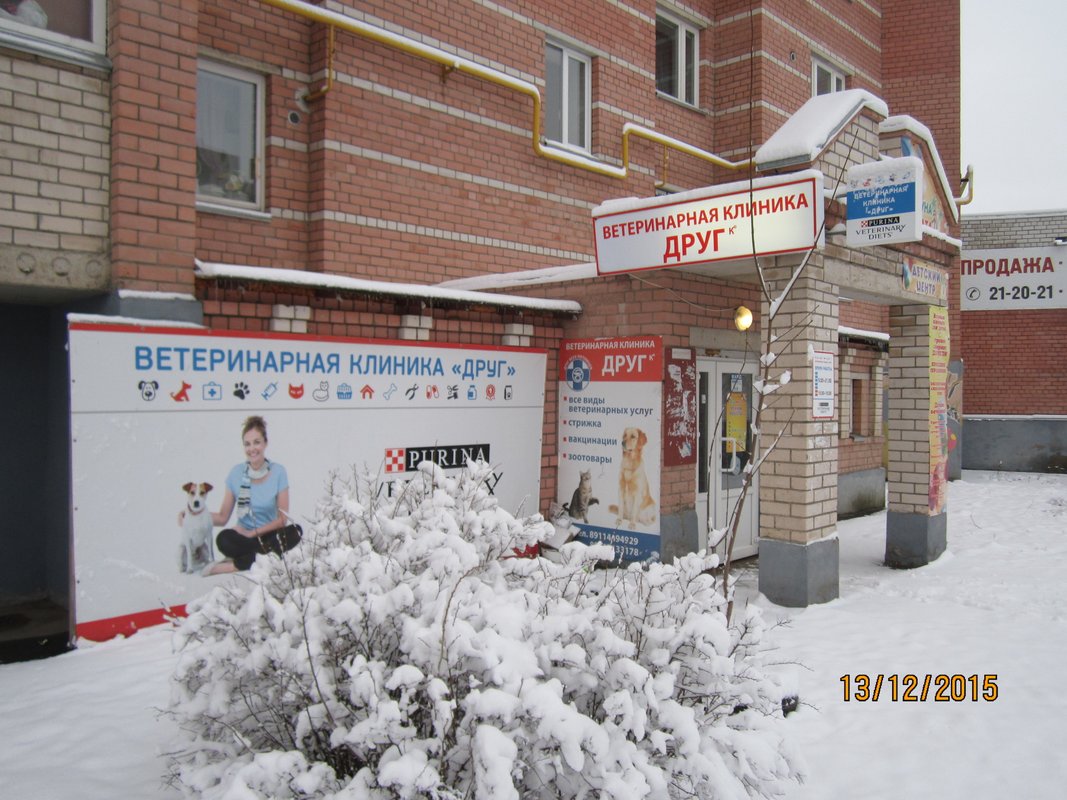 Фото врача