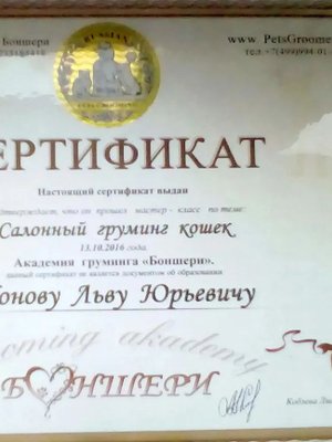 Фото врача Ионов Лев Юрьевич