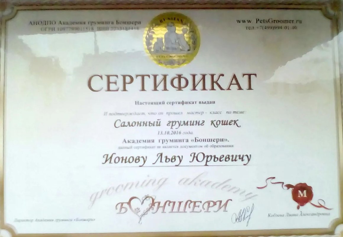 Документ или сертификат