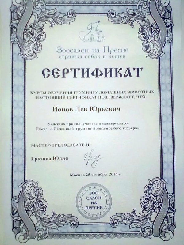 Документ или сертификат