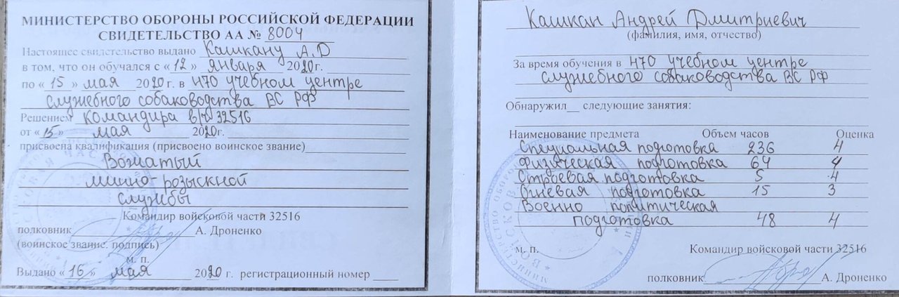 Документ или сертификат