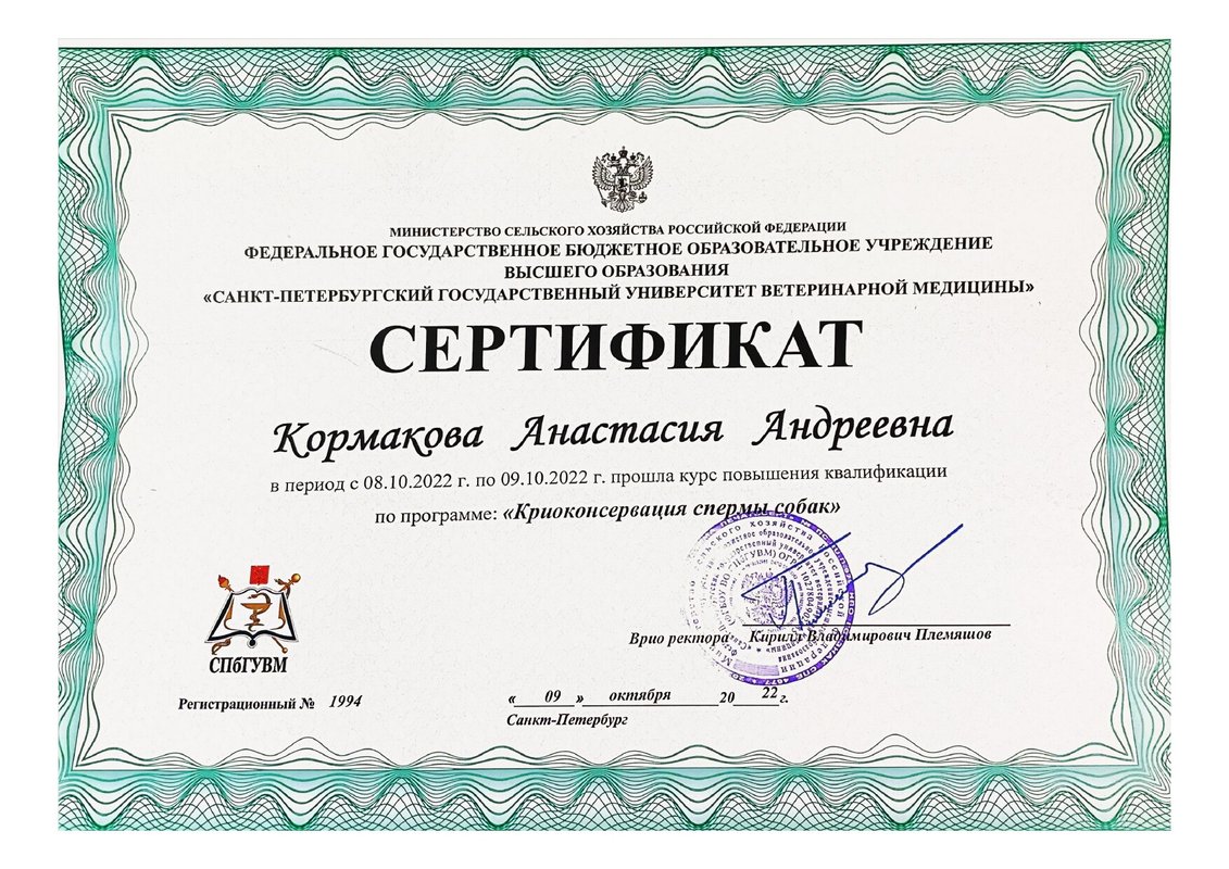 Документ или сертификат
