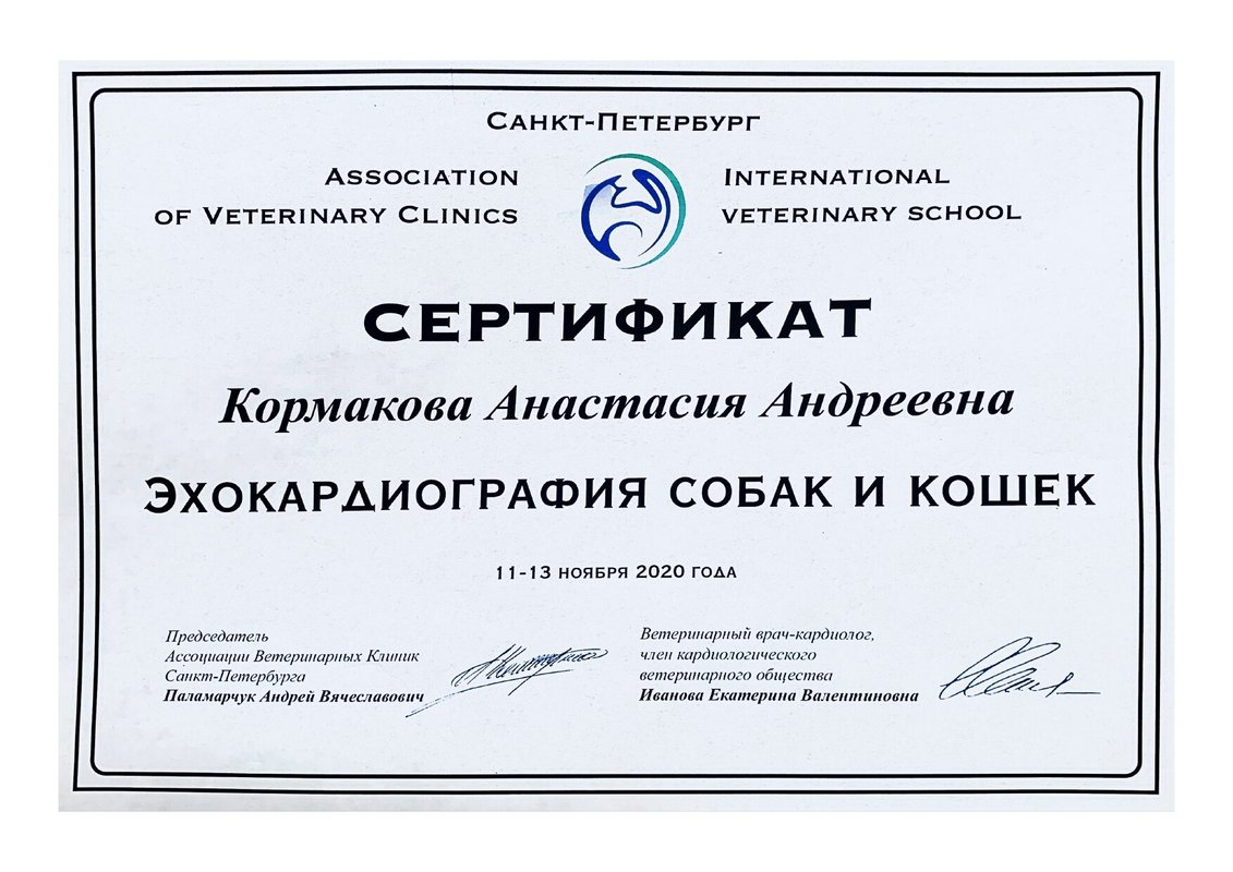 Документ или сертификат