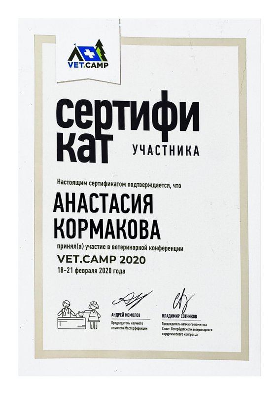Документ или сертификат