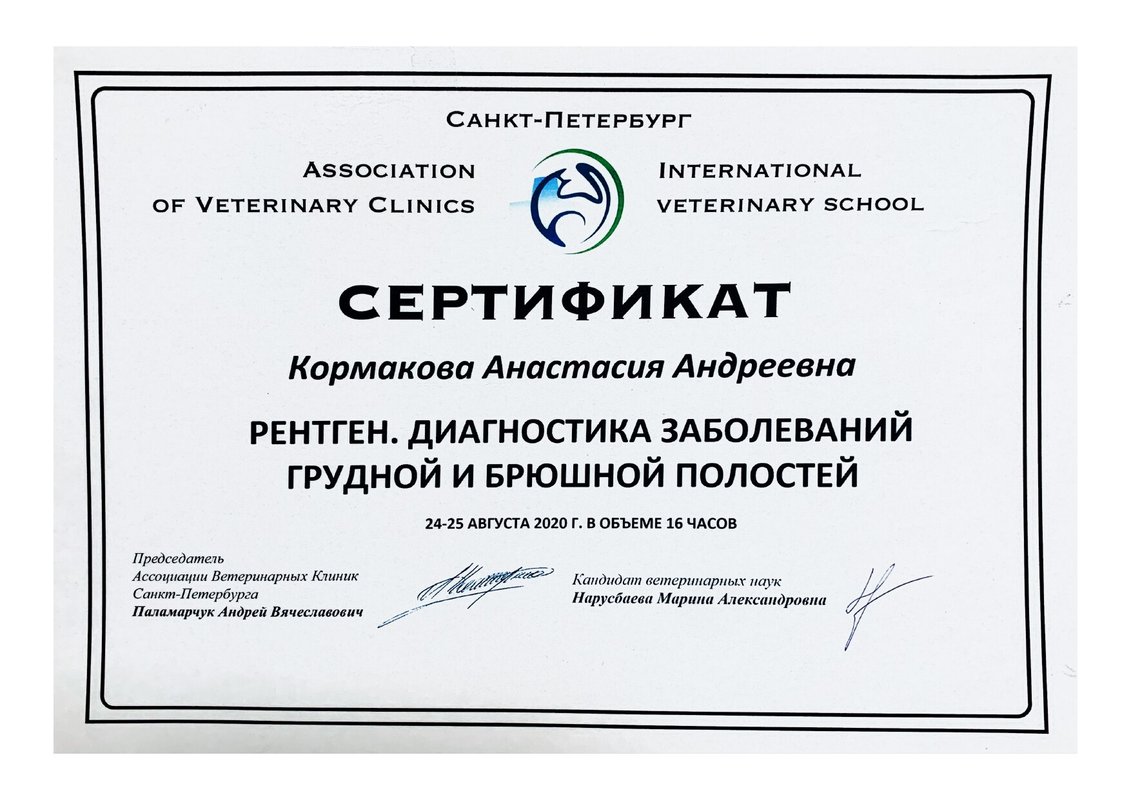 Документ или сертификат