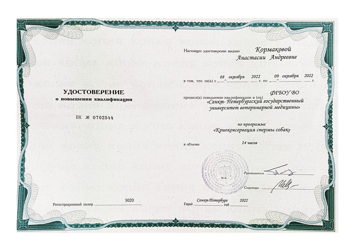 Документ или сертификат