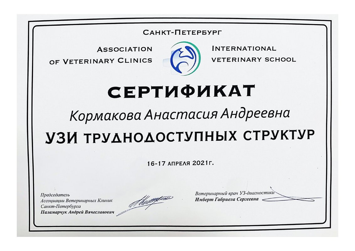 Документ или сертификат