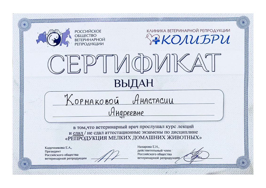 Документ или сертификат