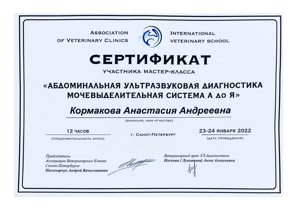 Документ или сертификат