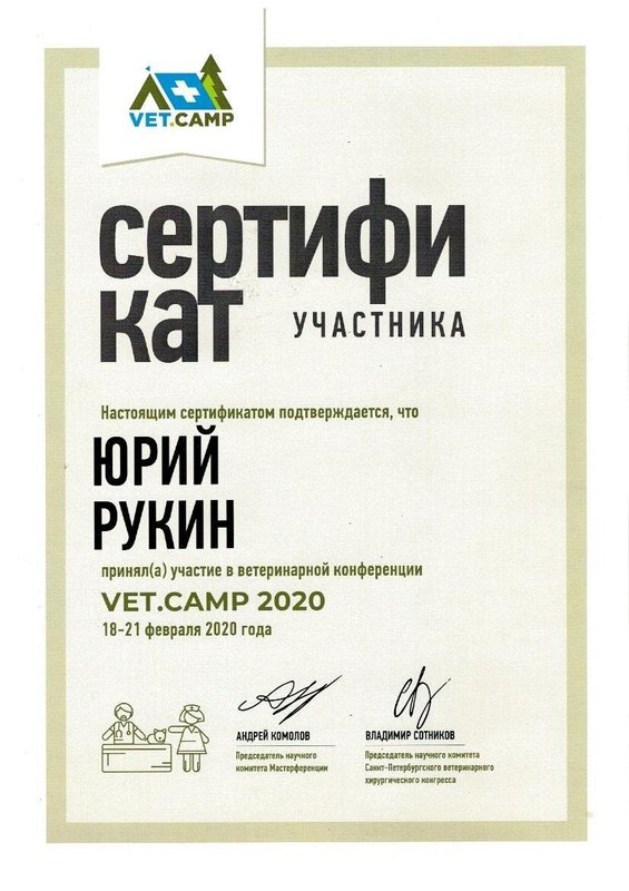 Документ или сертификат