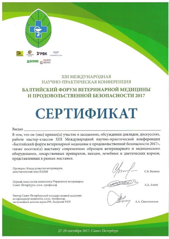 Документ или сертификат