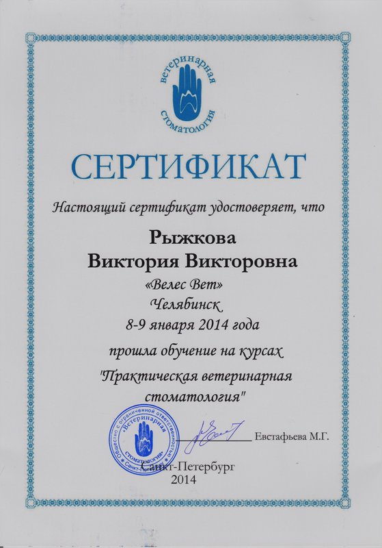 Документ или сертификат