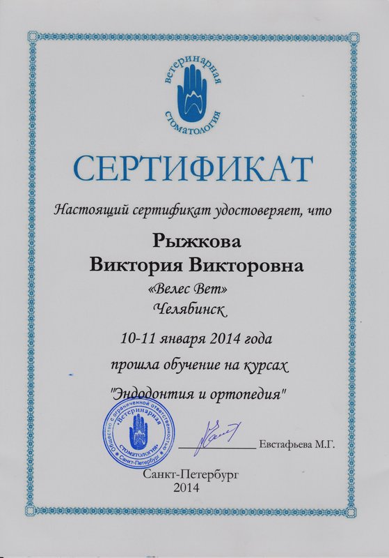 Документ или сертификат