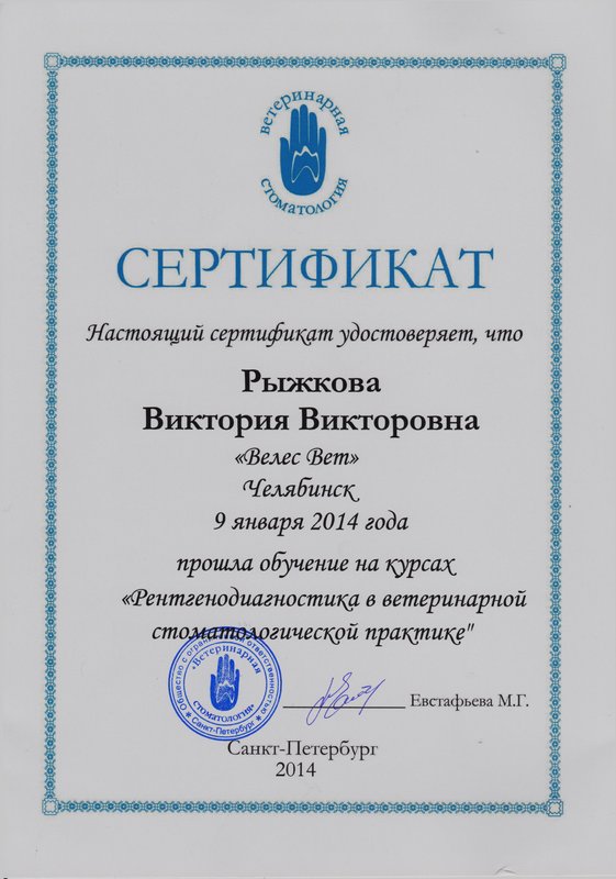 Документ или сертификат