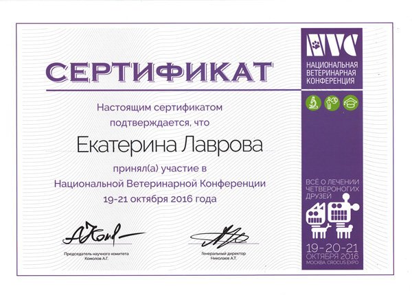 Документ или сертификат