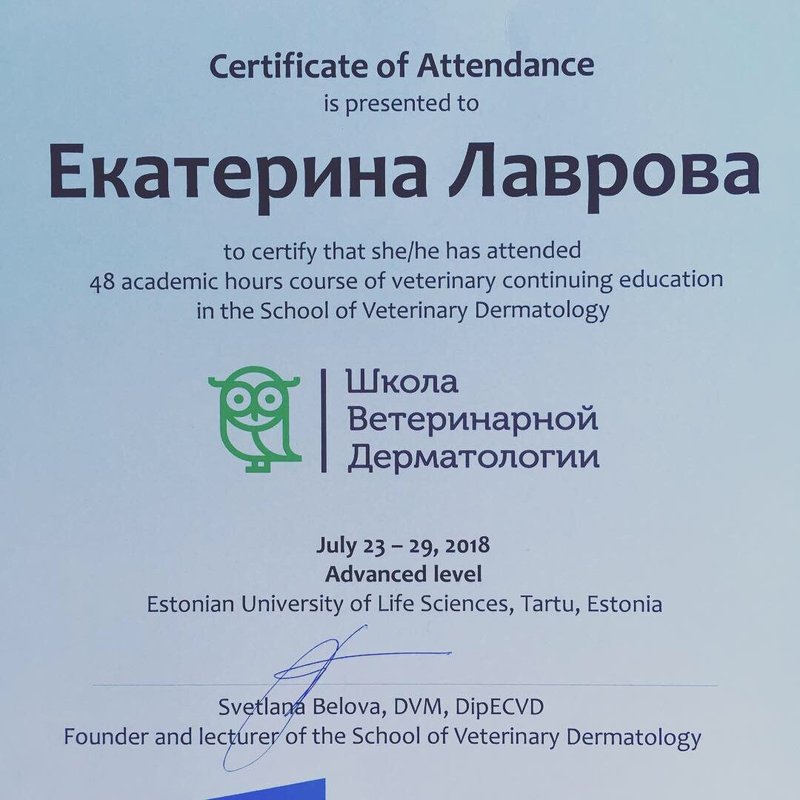 Документ или сертификат