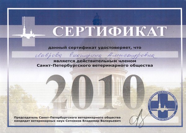 Документ или сертификат