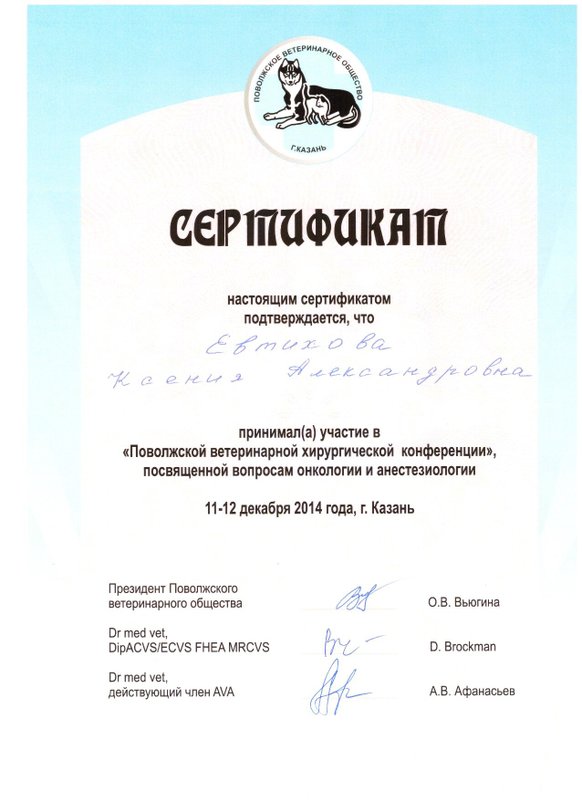 Документ или сертификат