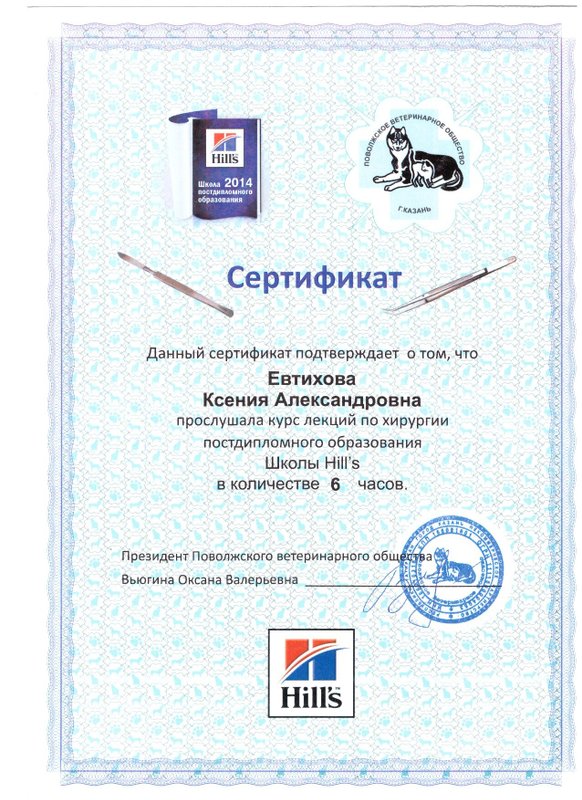 Документ или сертификат