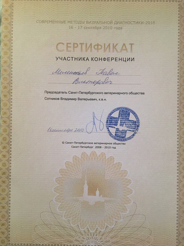 Документ или сертификат
