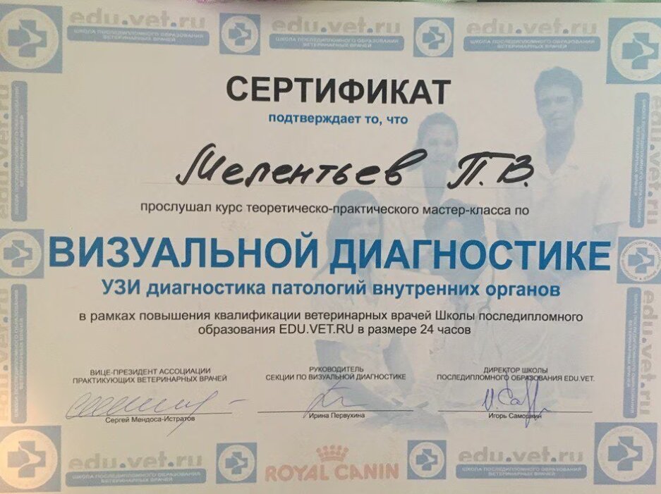 Документ или сертификат