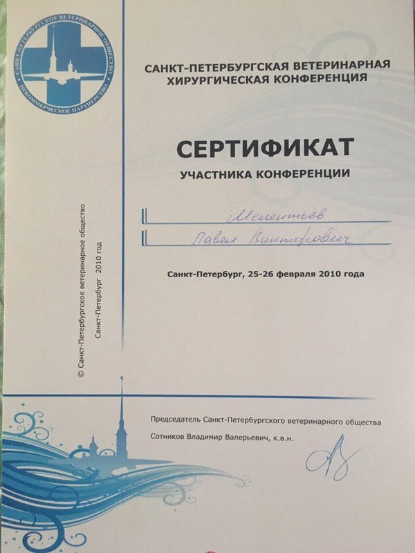 Документ или сертификат