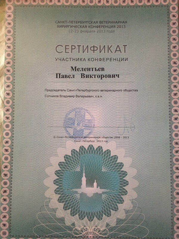 Документ или сертификат