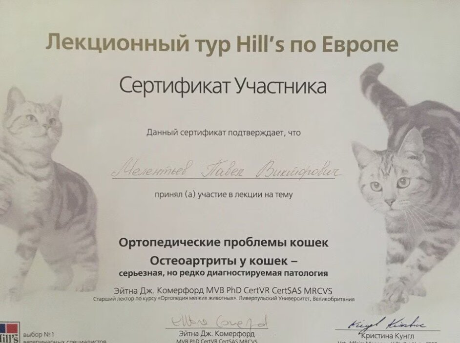 Документ или сертификат