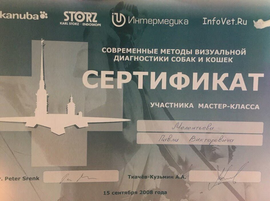 Документ или сертификат