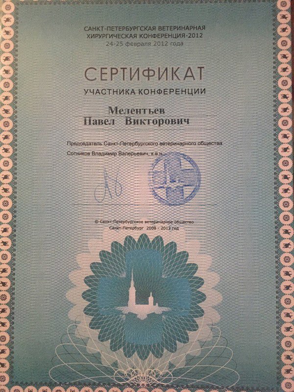Документ или сертификат