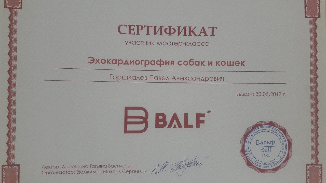 Документ или сертификат