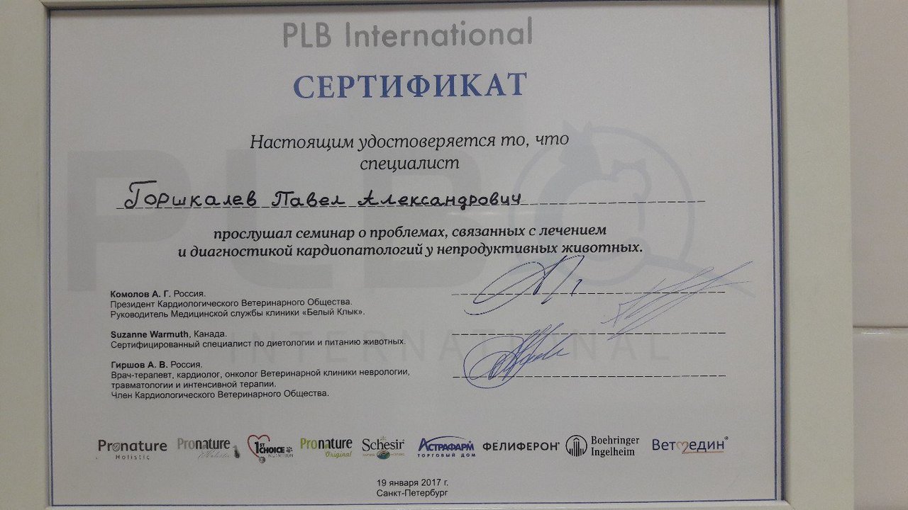 Документ или сертификат