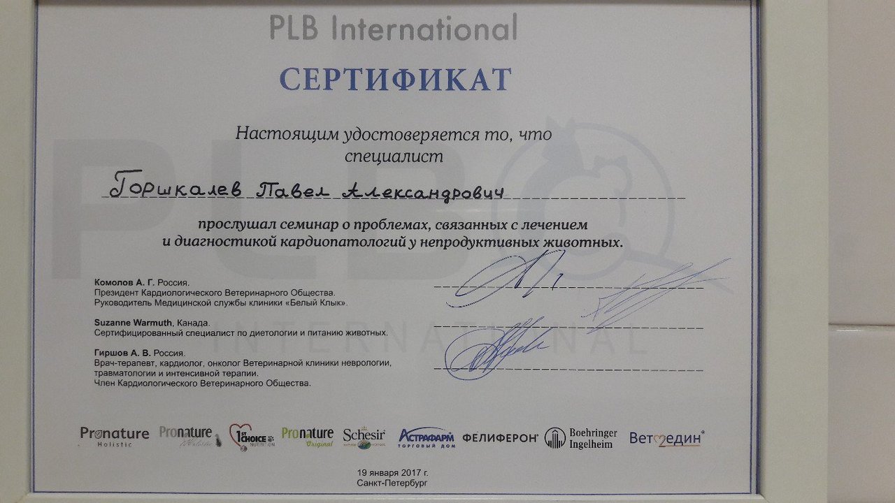 Документ или сертификат